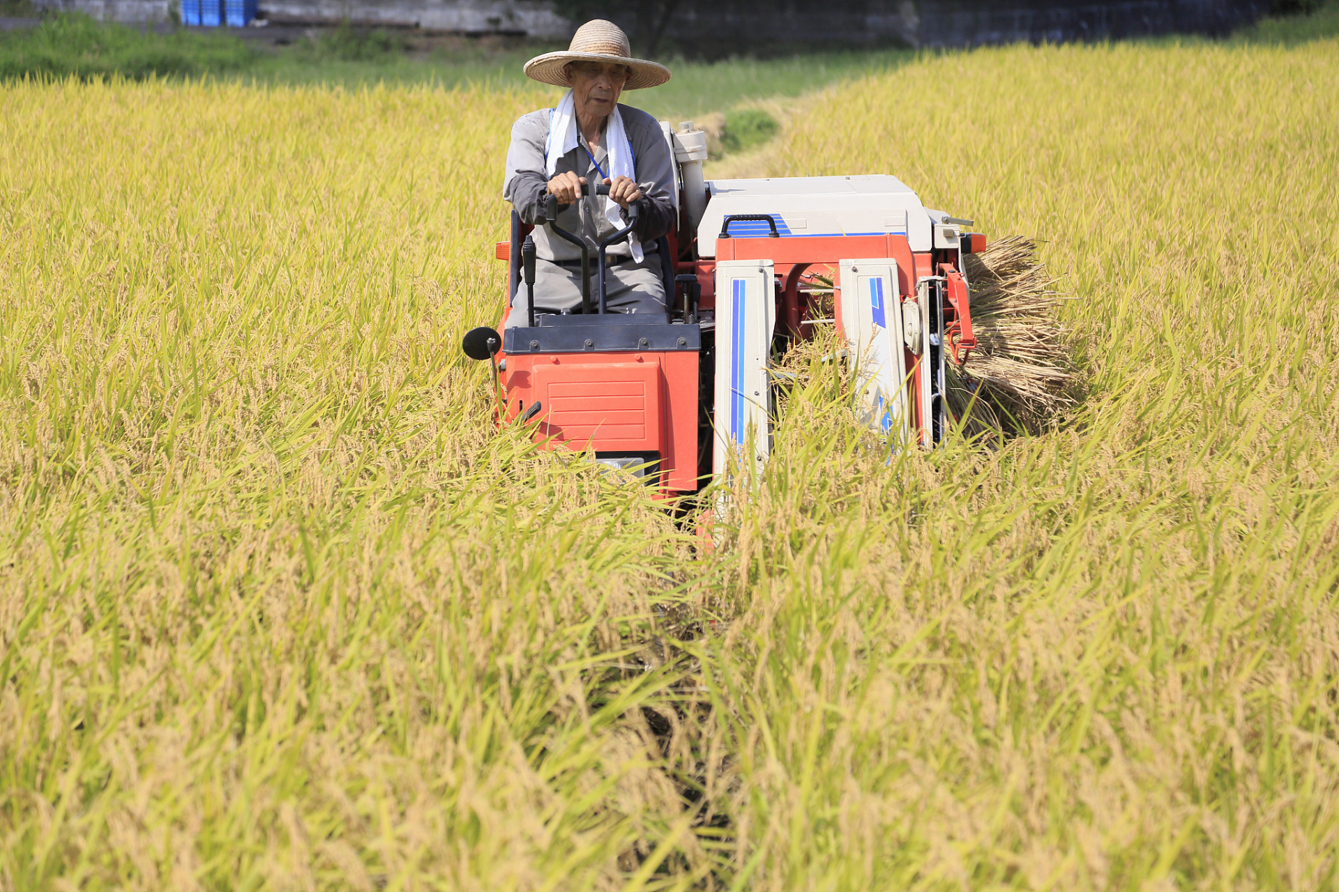 聯智創新智慧農業平臺
