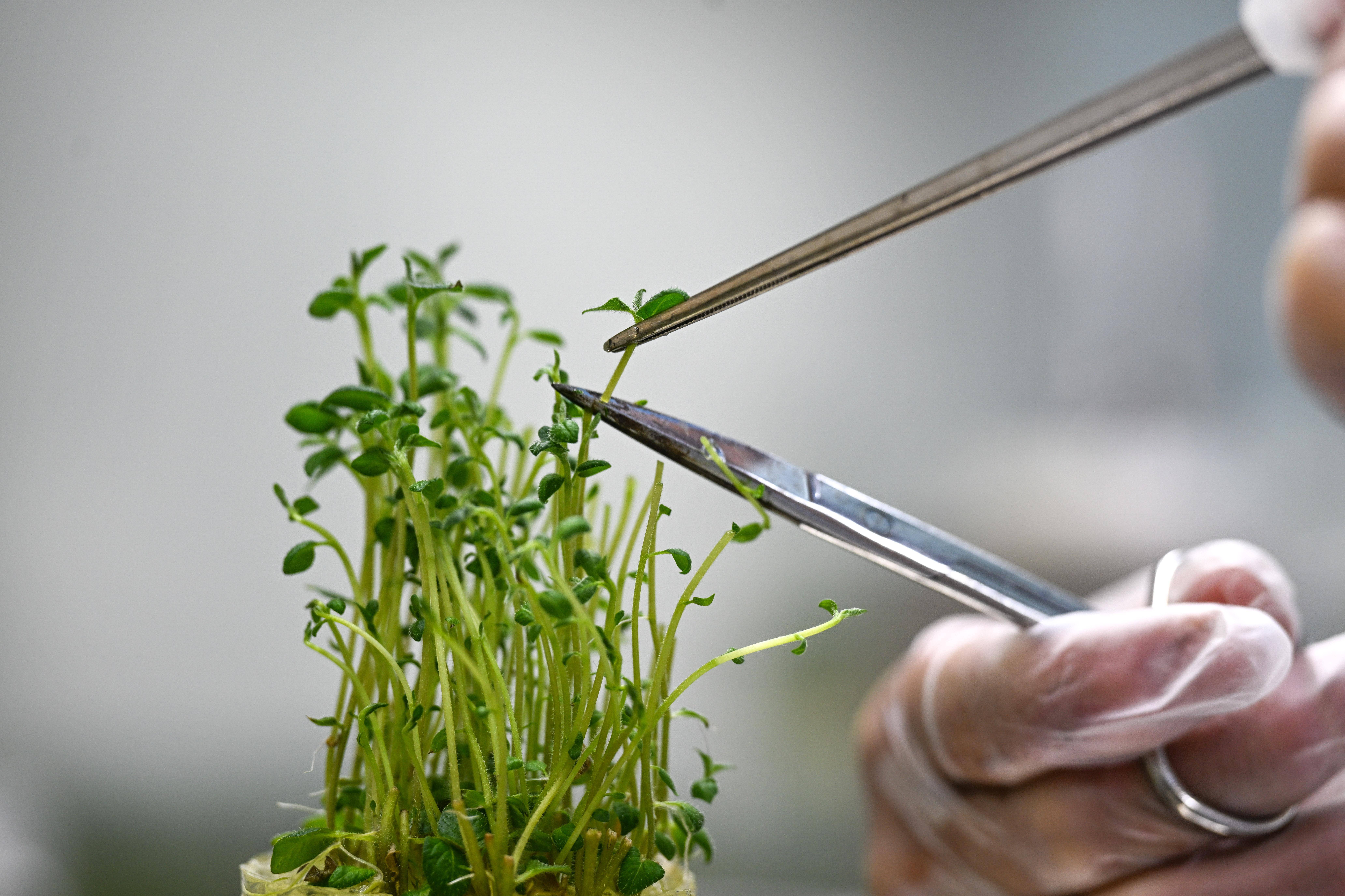 農業數字化平臺